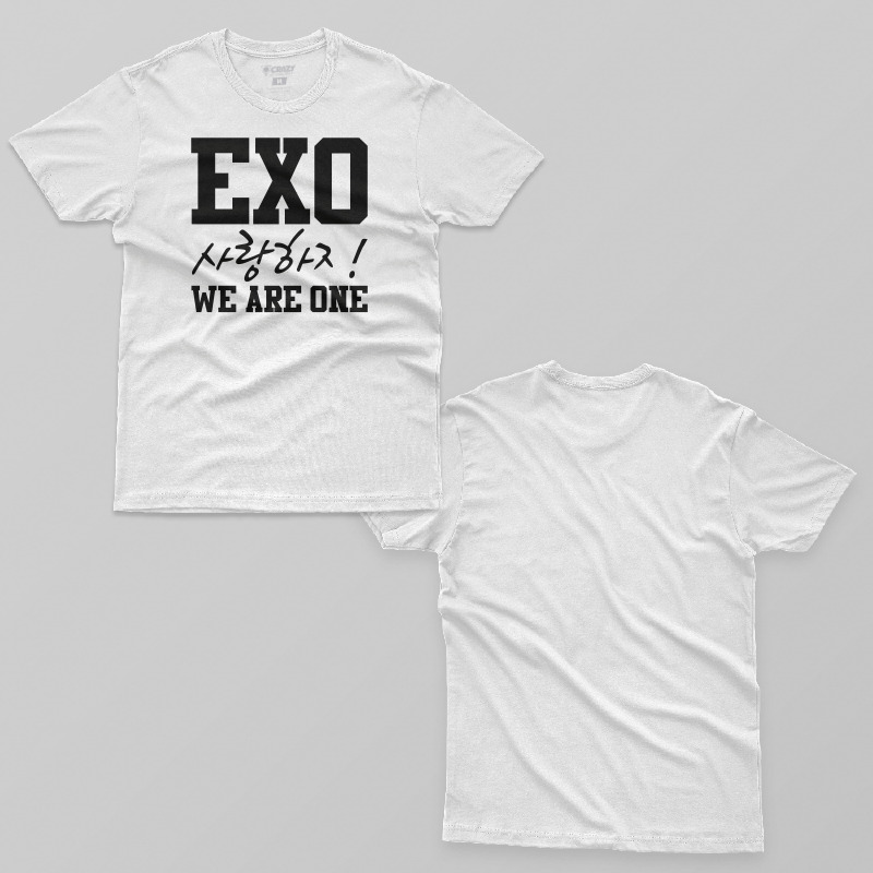 TSEC179306, Crazy, EXO Saranghaja We Are One, Baskılı Erkek Tişört