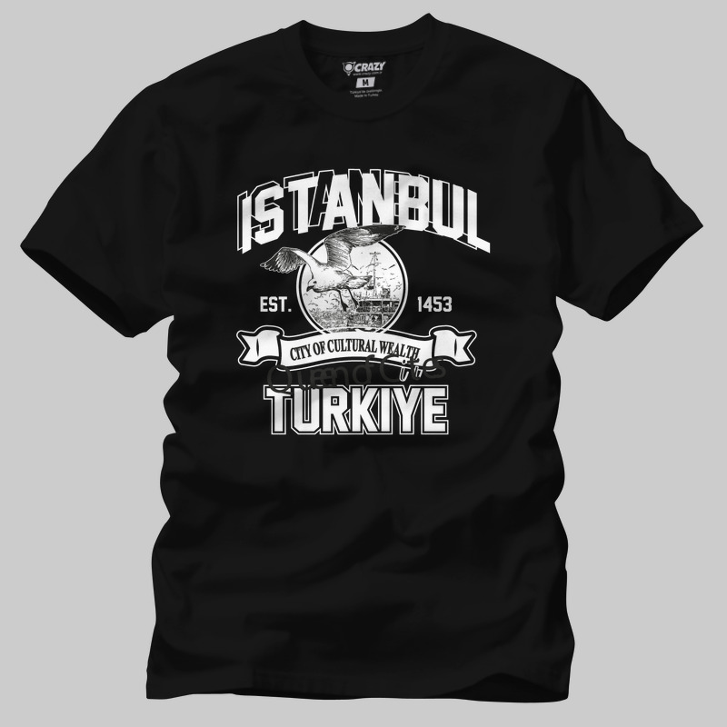 TSEC445501, Crazy, Istanbul City Of Cultural Wealth, Baskılı Erkek Tişört
